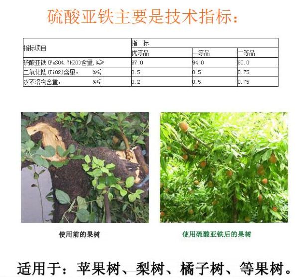 硫酸亚铁技术指标提高酶活性炭改善土壤效果好